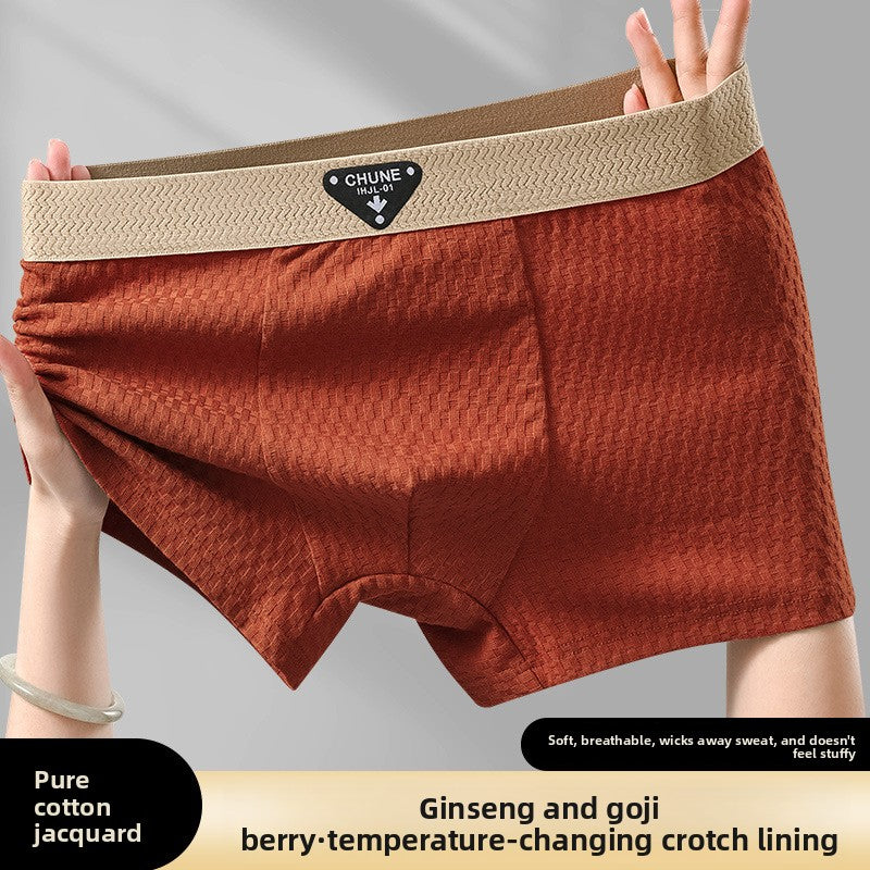 Mens Pure Cotton Boxer Briefs