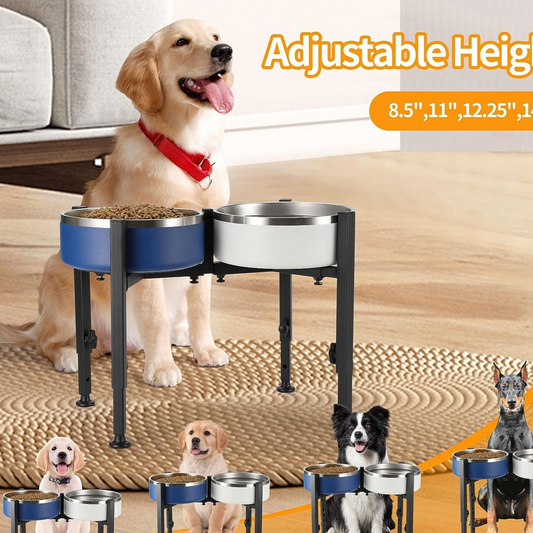 Adjustable Elevated Dog Bowl Rack